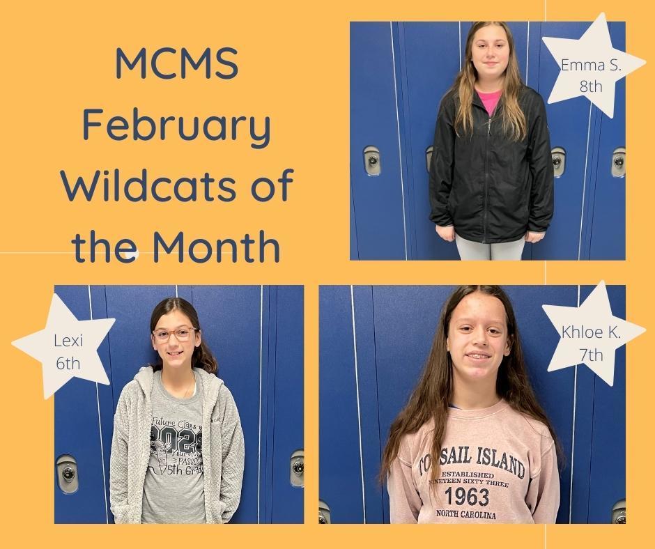 Wildcats of the month